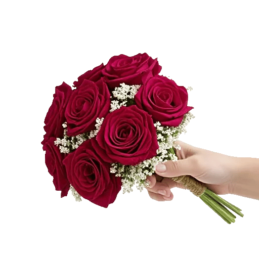 Crimson Rose Elegance