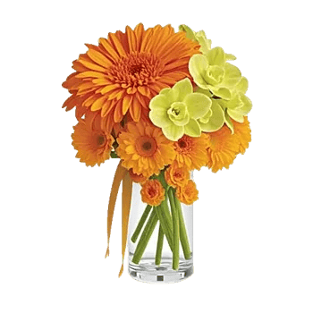 Radiant Bloom Cascade