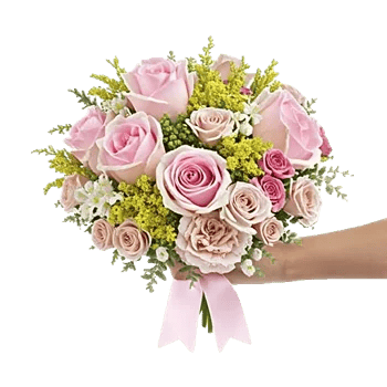 Pastel Pink Roses