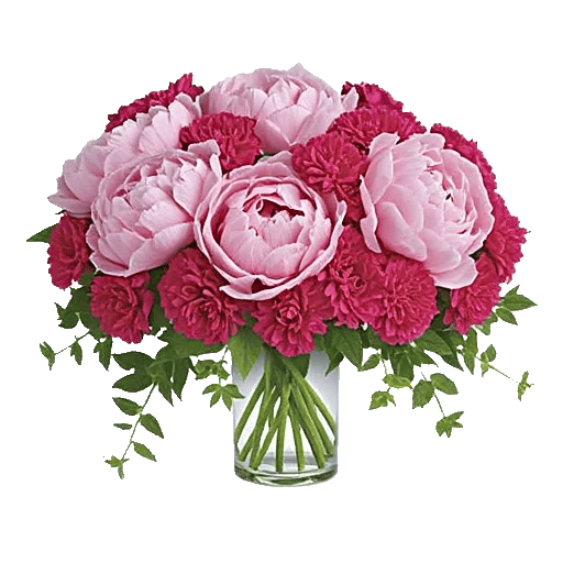 Ivory Blossom Radiance