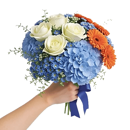 Serene Petal Harmony