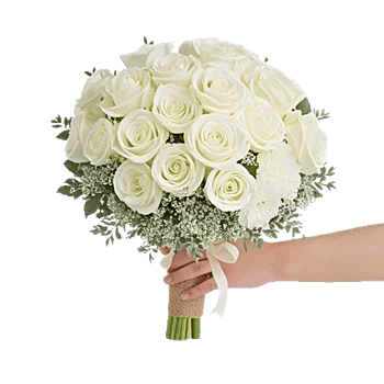 Delicate Petal Cascade