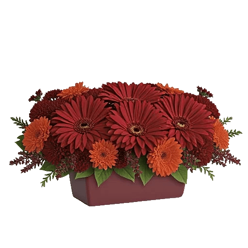 Deep Red Blossoms
