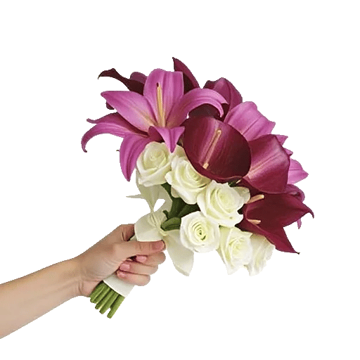 Elegant Calla Lilies