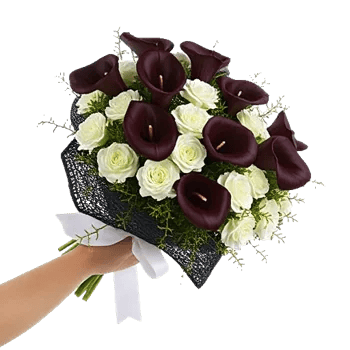 Elegant Calla Lilies