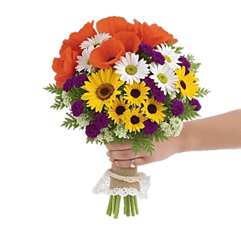 Petal Harmony Bliss