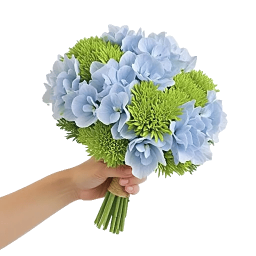 Serene Garden Harmony