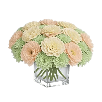 Petal Radiance Bliss