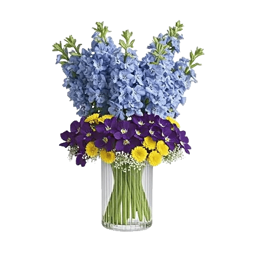 Lavender Bloom Grace