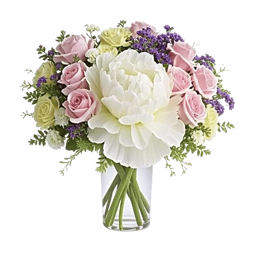 Ivory Blossom Radiance