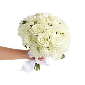 Ivory Garden Grace