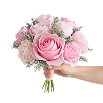 Pastel Pink Roses
