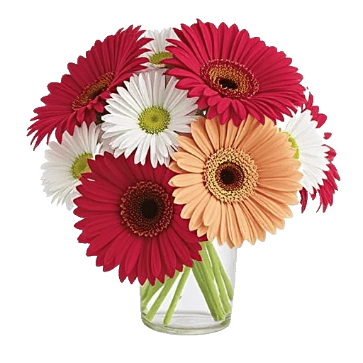 Petal Radiance Bliss