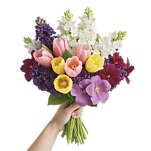 Blossom Harmony Display