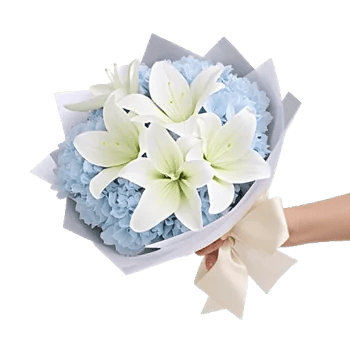 Ivory Blossom Radiance