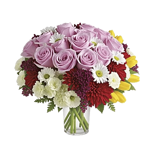 Pink Pastel Roses