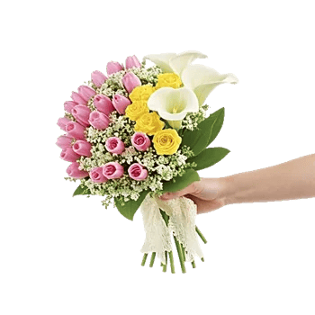 Blossom Harmony Display