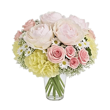 Petal Radiance Bliss