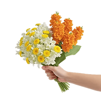 Blossom Harmony Display