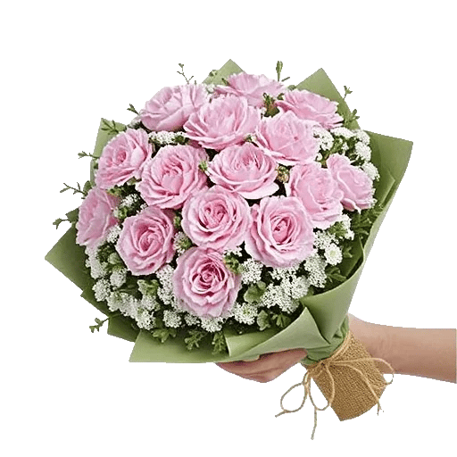 Pastel Pink Roses