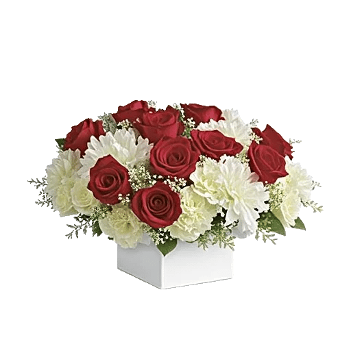 Crimson Rose Elegance