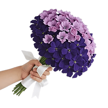 Petal Grace Harmony