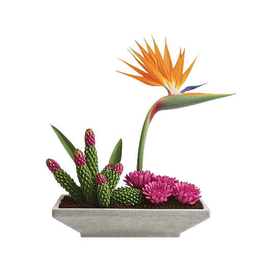 Modern White Orchids