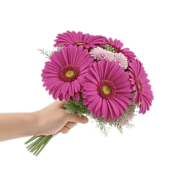 Blossom Petal Serenity