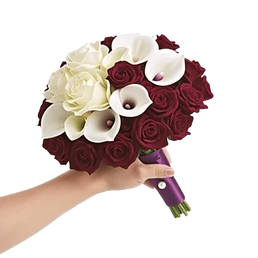 Elegant Calla Lilies