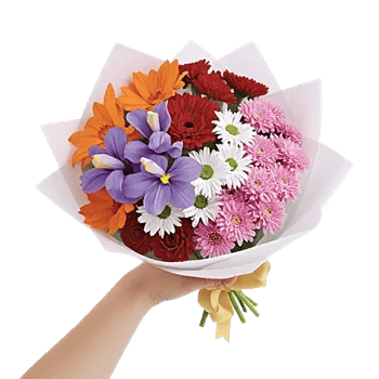 Ivory Blossom Radiance