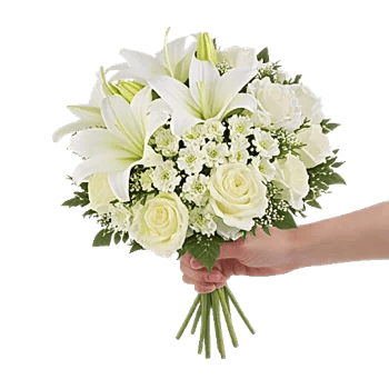 Ivory Blossom Radiance