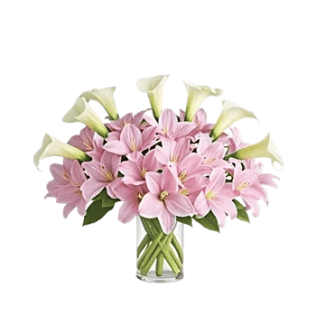 Elegant Calla Lilies
