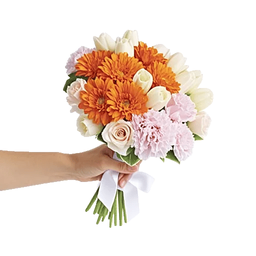 Vibrant Orange Delight