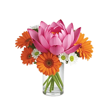 Petal Radiance Bliss