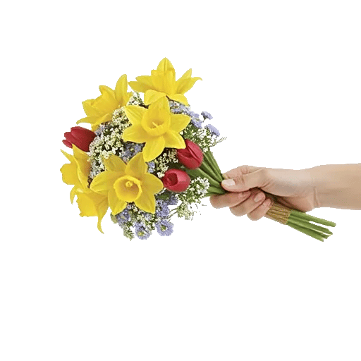 Blossom Harmony Display