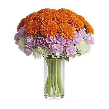 Vibrant Orange Delight