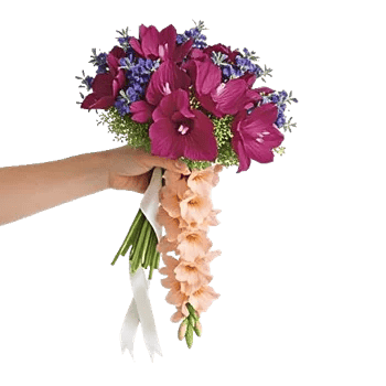 Delicate Petal Cascade