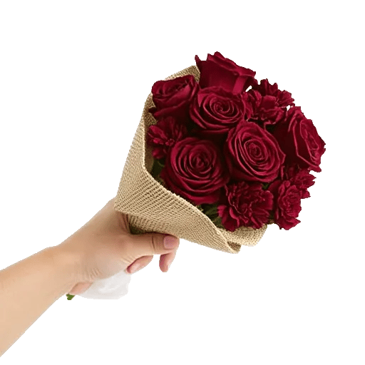 Crimson Rose Elegance