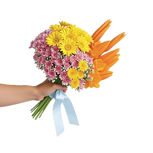 Enchanting Daisy Garden