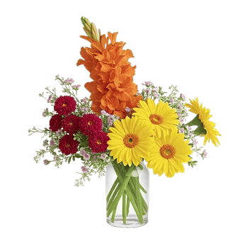 Petal Radiance Bliss