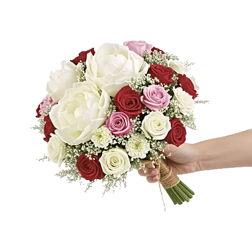 Peony Petal Harmony