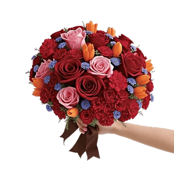 Crimson Rose Elegance