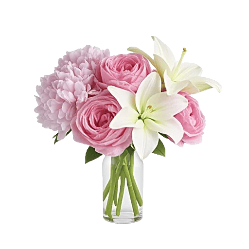 Ivory Blossom Radiance