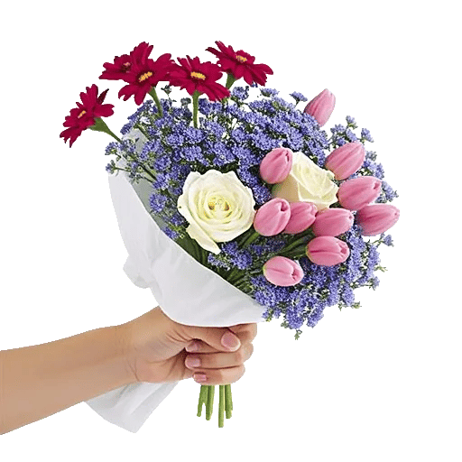 Blossom Petal Serenity