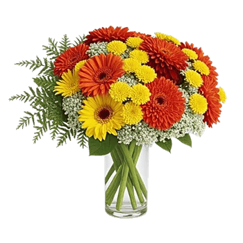 Petal Radiance Bliss