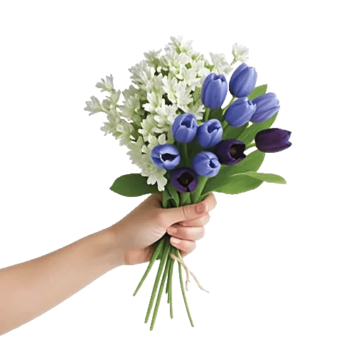 Blossom Harmony Display