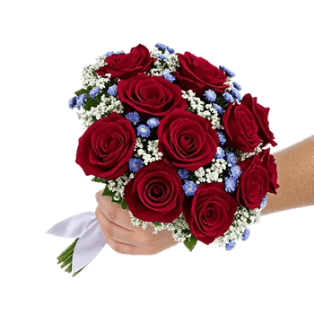 Crimson Rose Elegance