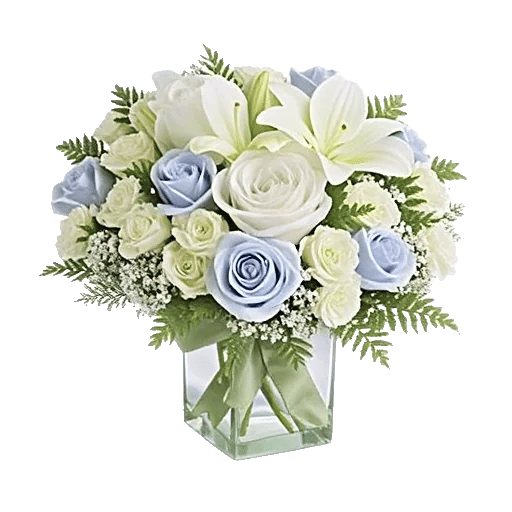 Ivory Blossom Radiance