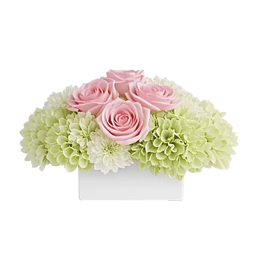 Delicate Petal Cascade