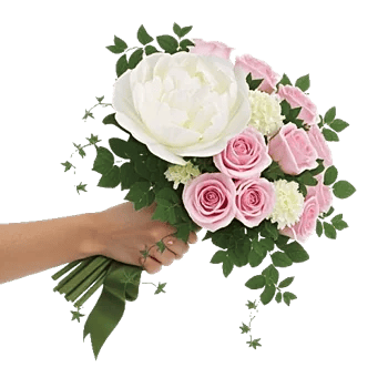 Peony Petal Harmony